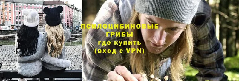 Галлюциногенные грибы Psilocybe  Ишимбай 